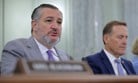 cruz-unveils-new-ai-framework-as-blueprint-for-future-legislation